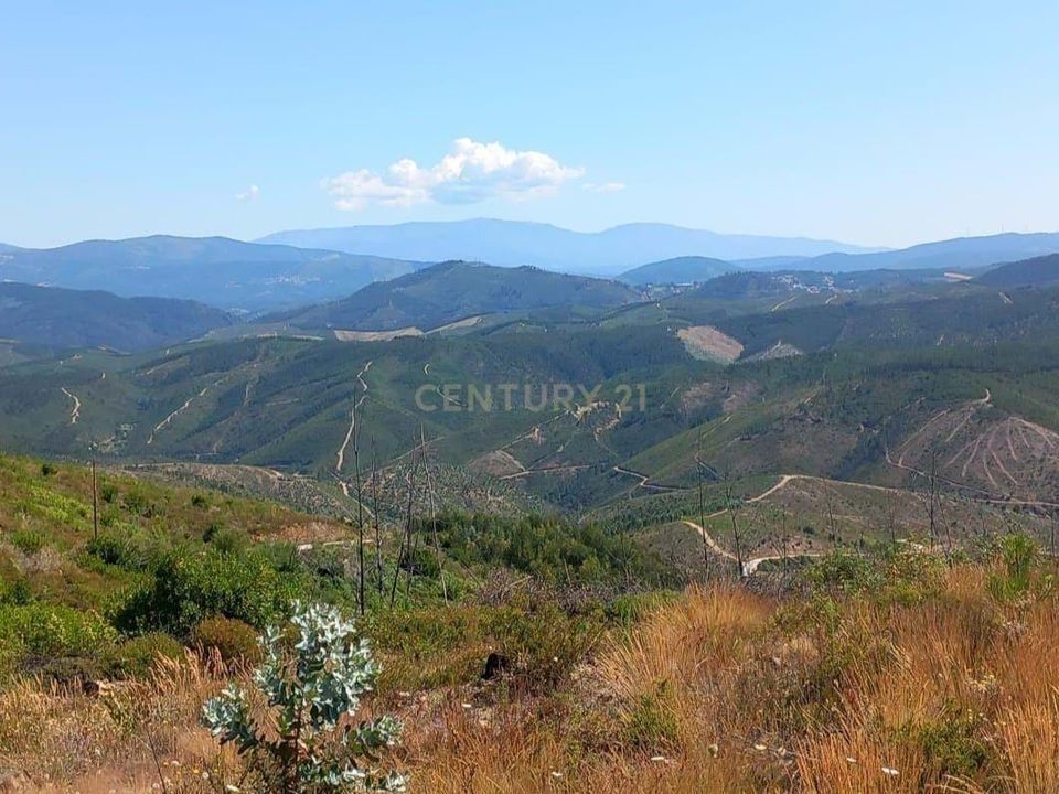 Helårsgrund i Amieira, Castelo Branco - foto 2