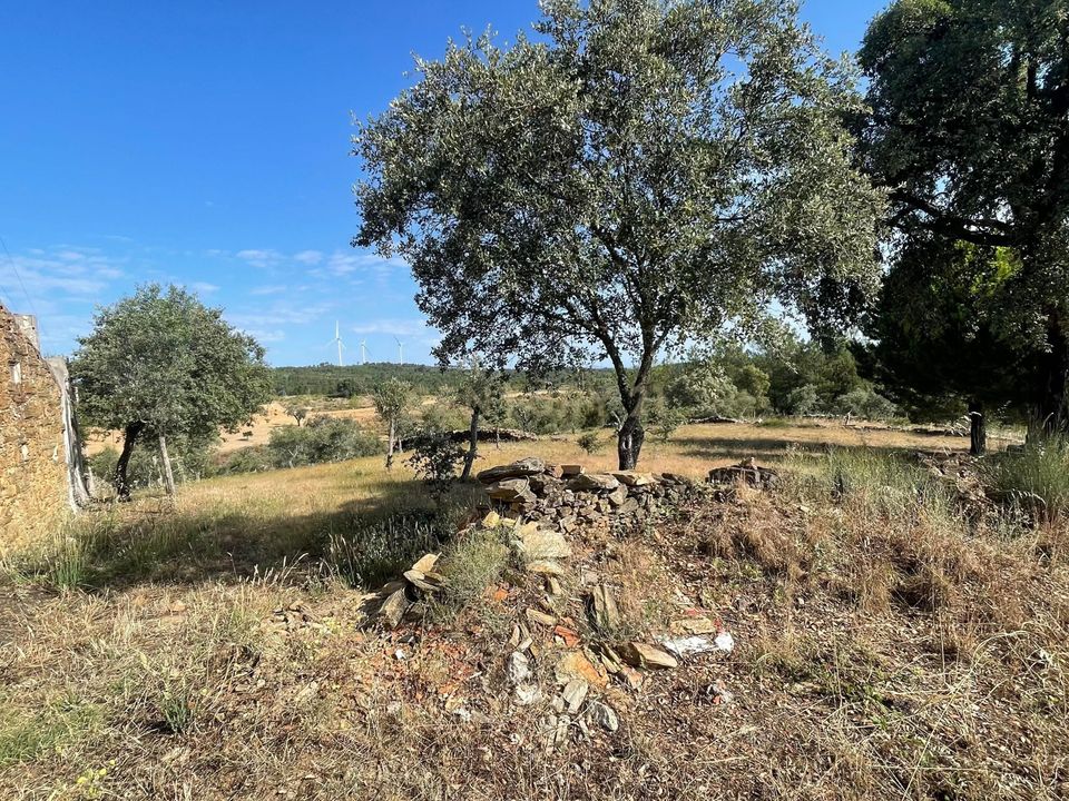 Helårsgrund i Cebolais de Cima, Castelo Branco - foto 2
