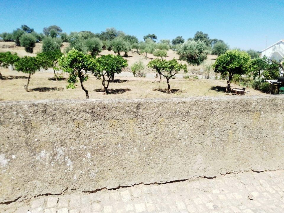 Helårsgrund i Zebreira e Segura, Castelo Branco - foto 1