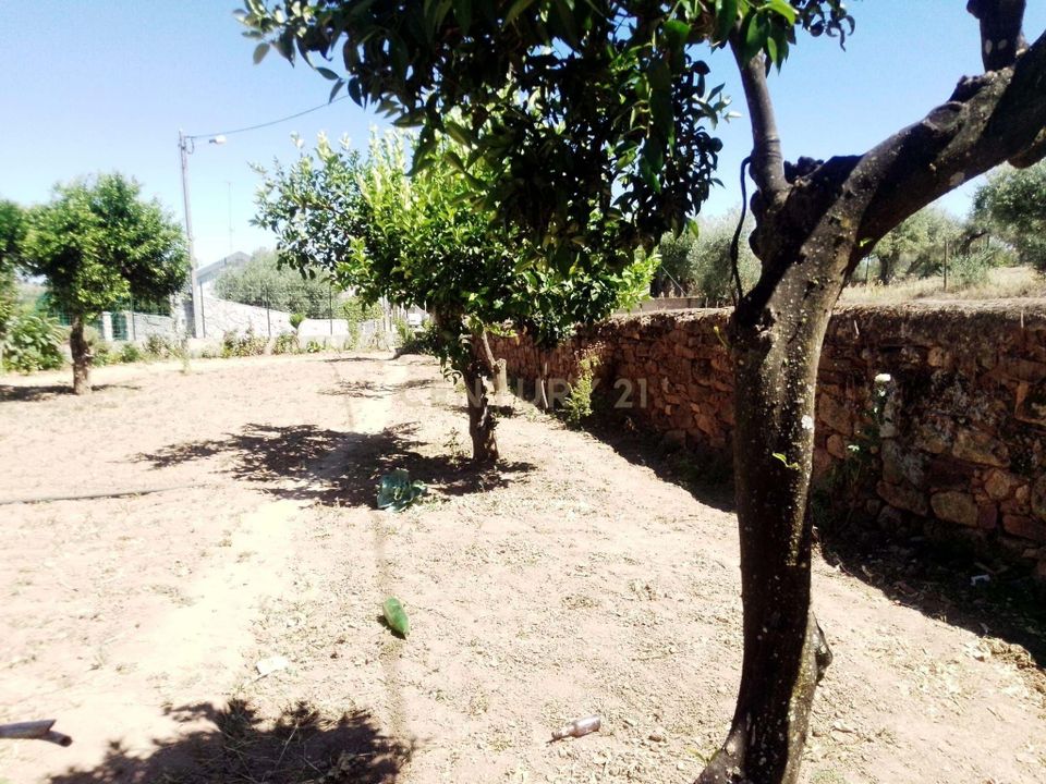 Helårsgrund i Zebreira e Segura, Castelo Branco - foto 2