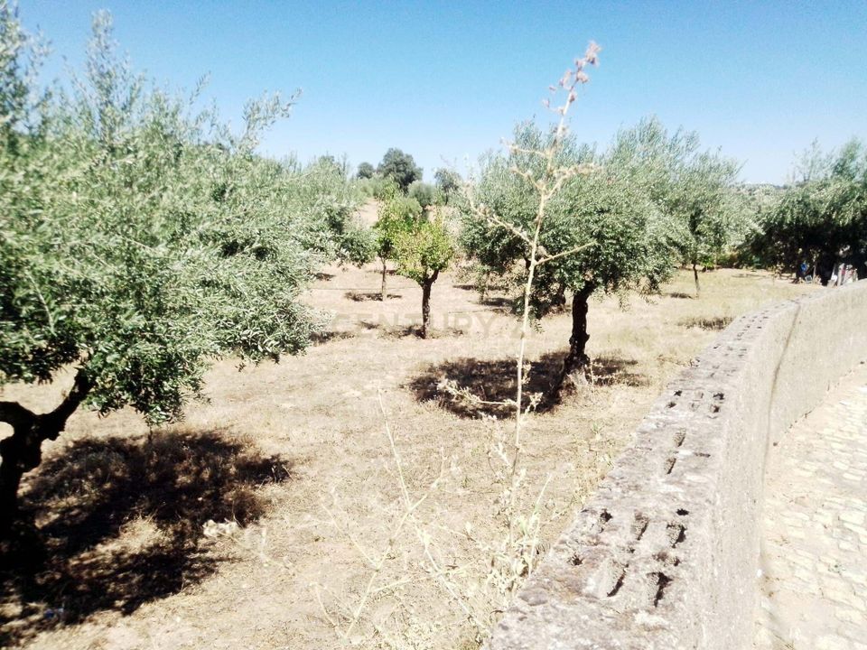Helårsgrund i Zebreira e Segura, Castelo Branco - foto 3