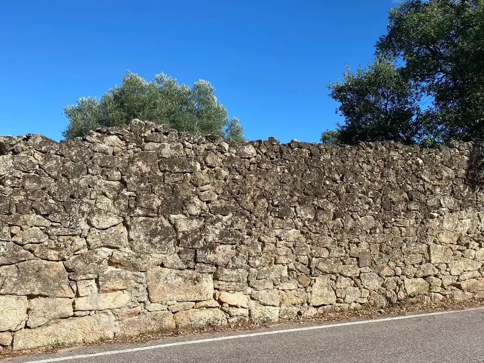Helårsgrund i Castelo Branco, Castelo Branco - foto 4