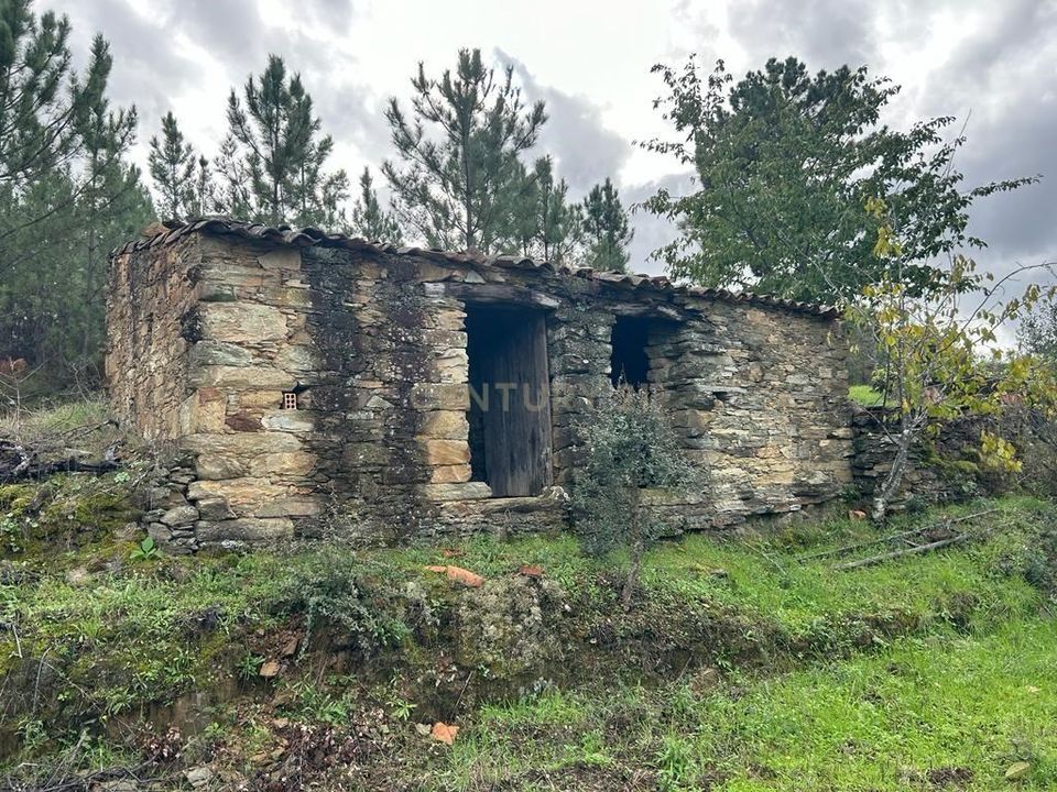Helårsgrund i Sobreira Formosa e Alvito da Beira, Castelo Branco - foto 1