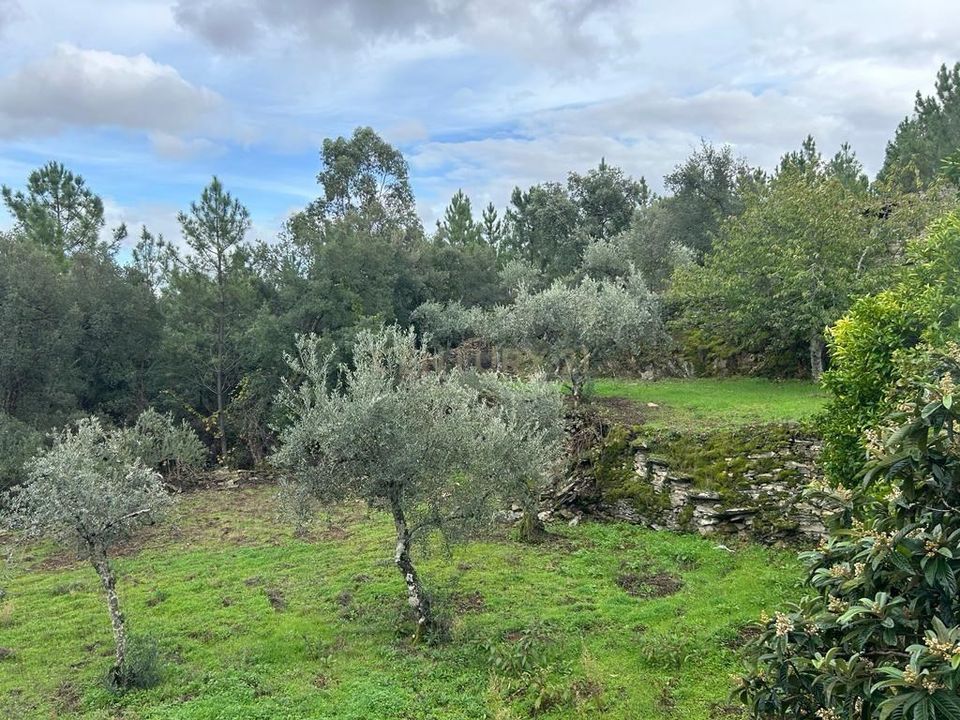 Helårsgrund i Sobreira Formosa e Alvito da Beira, Castelo Branco - foto 2