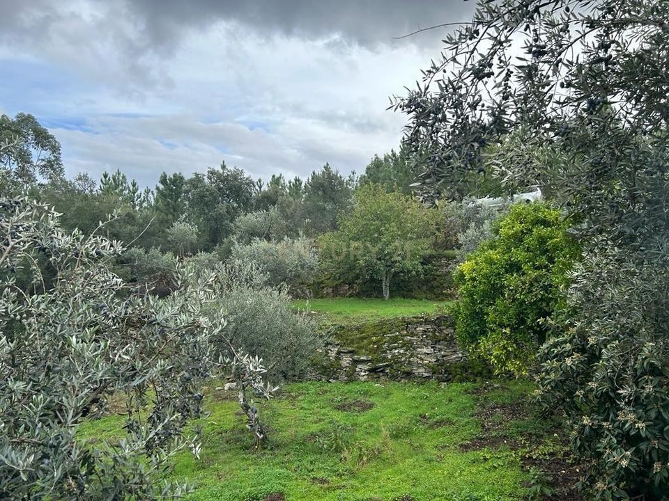 Helårsgrund i Sobreira Formosa e Alvito da Beira, Castelo Branco - foto 3