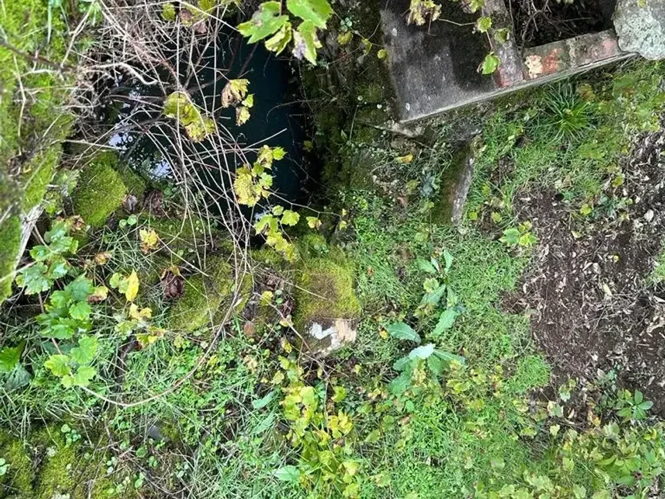 Helårsgrund i Sobreira Formosa e Alvito da Beira, Castelo Branco - foto 4