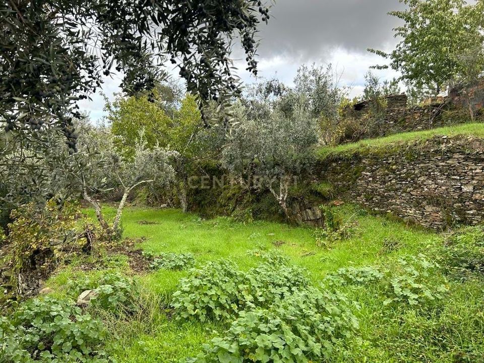 Helårsgrund i Sobreira Formosa e Alvito da Beira, Castelo Branco - foto 5