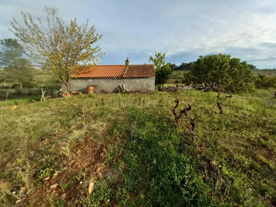 Masia a Ninho do Acor, Castelo Branco - foto 1