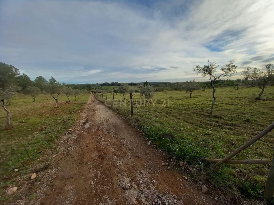 Masia a Ninho do Acor, Castelo Branco - foto 2