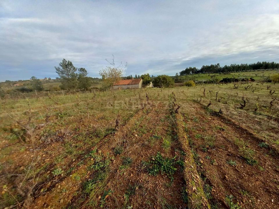Masia a Ninho do Acor, Castelo Branco - foto 4