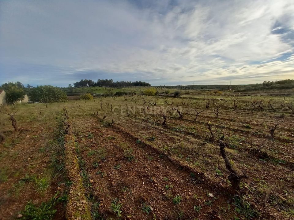 Masia a Ninho do Acor, Castelo Branco - foto 5