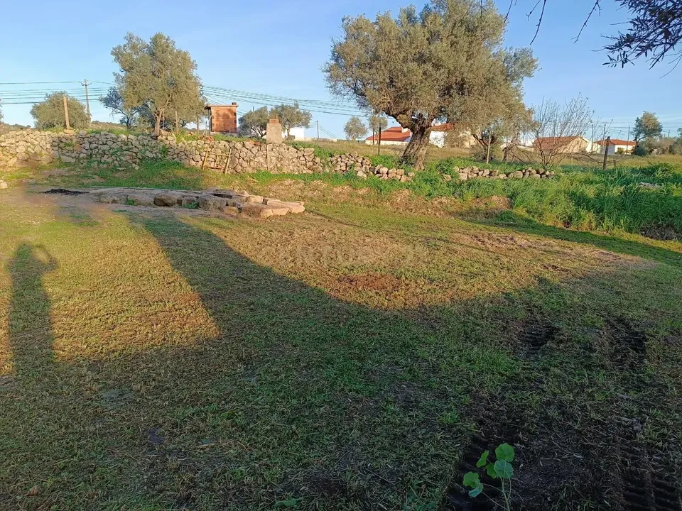 Farm hus i Idanha-a-Nova, Castelo Branco - foto 4