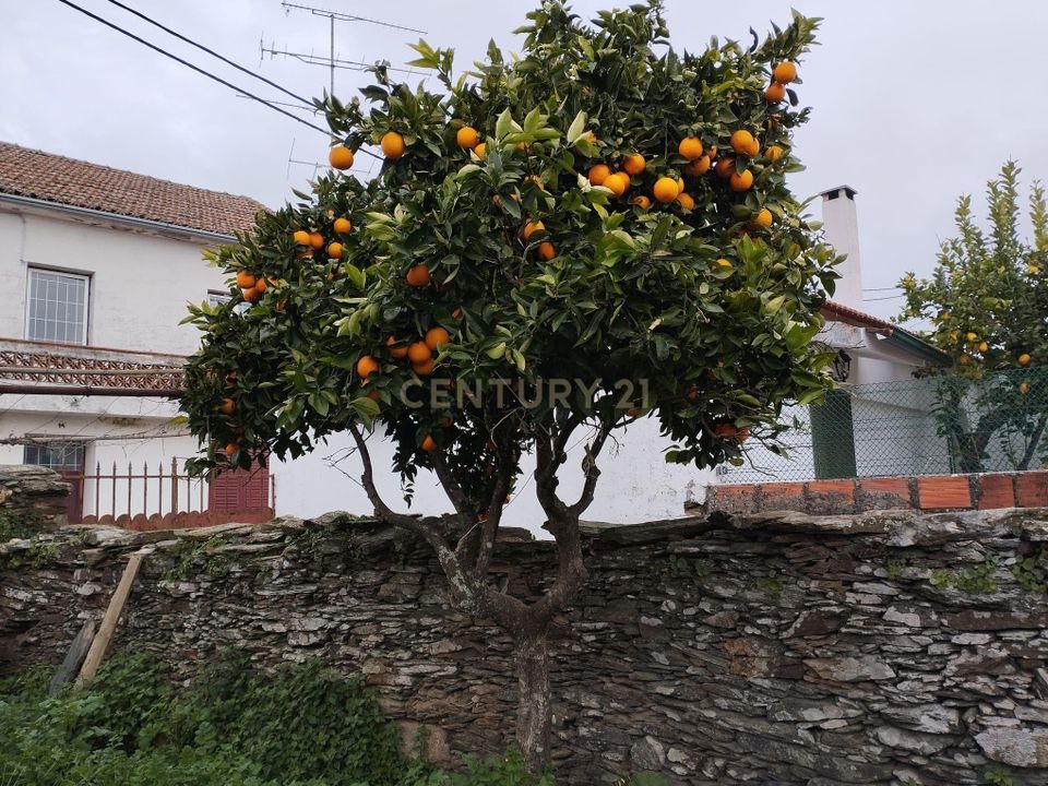 Helårsgrund i Vila Velha de Rodao, Castelo Branco - foto 3