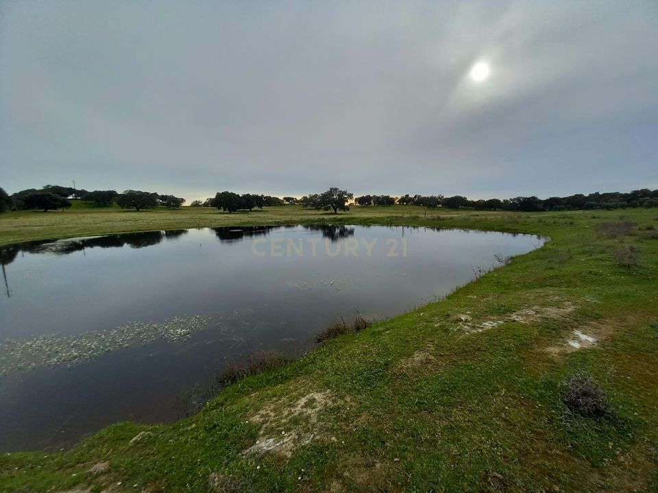 Farm hus i Zebreira e Segura, Castelo Branco - foto 1