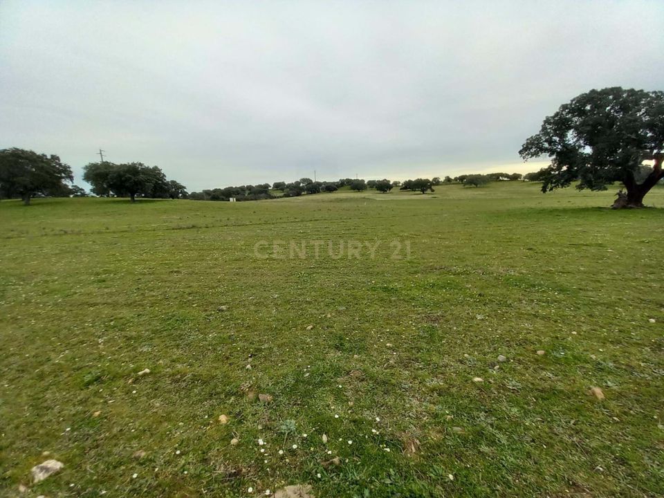 Farm hus i Zebreira e Segura, Castelo Branco - foto 3