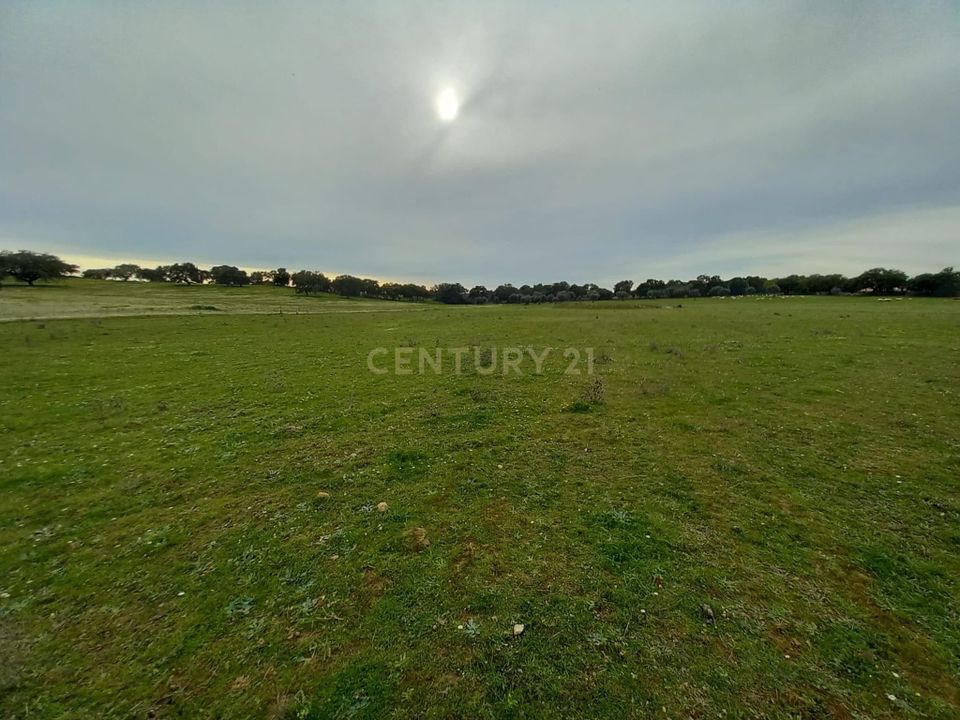 Farm hus i Zebreira e Segura, Castelo Branco - foto 4