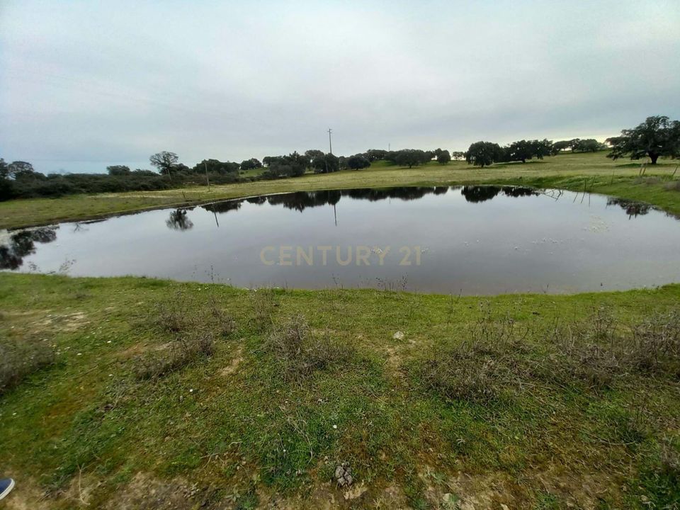 Farm hus i Zebreira e Segura, Castelo Branco - foto 5