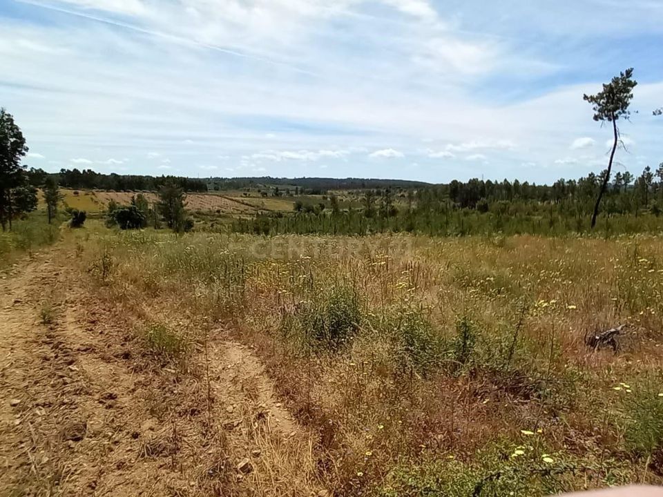 Masia a Ninho do Acor, Castelo Branco - foto 2
