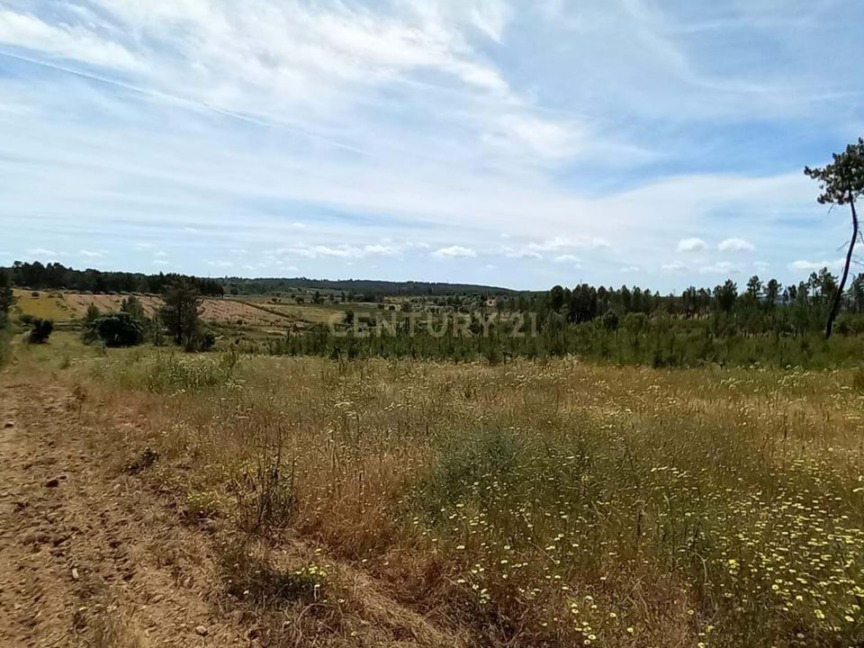 Masia a Ninho do Acor, Castelo Branco - foto 4