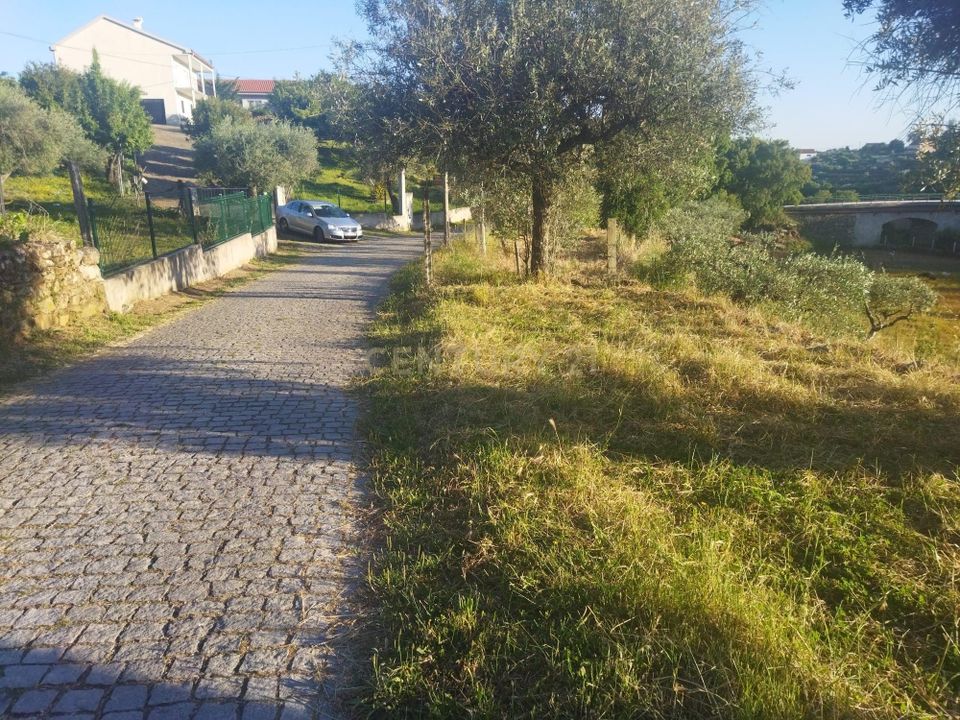 Helårsgrund i Castelo Branco, Castelo Branco - foto 1
