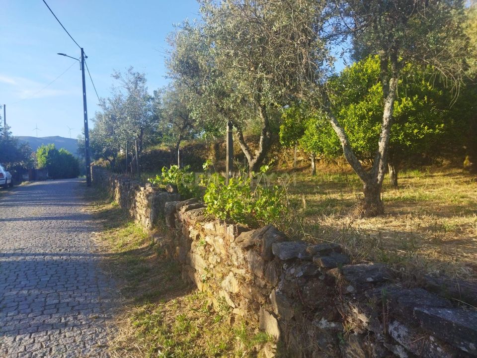 Helårsgrund i Castelo Branco, Castelo Branco - foto 5