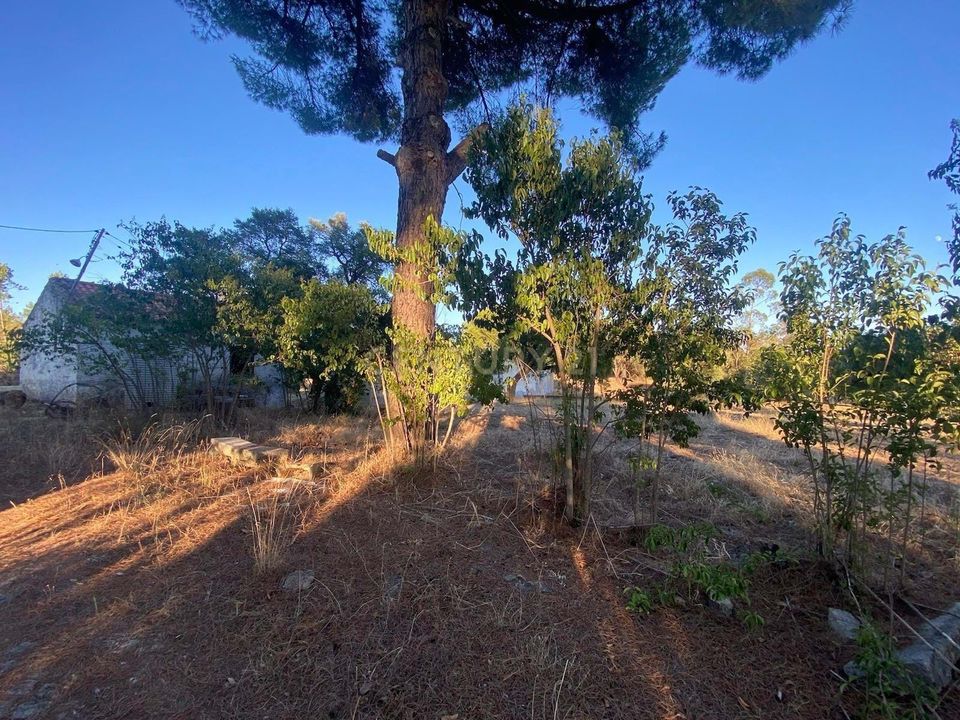Farm hus i Escalos de Cima e Lousa, Castelo Branco - foto 2