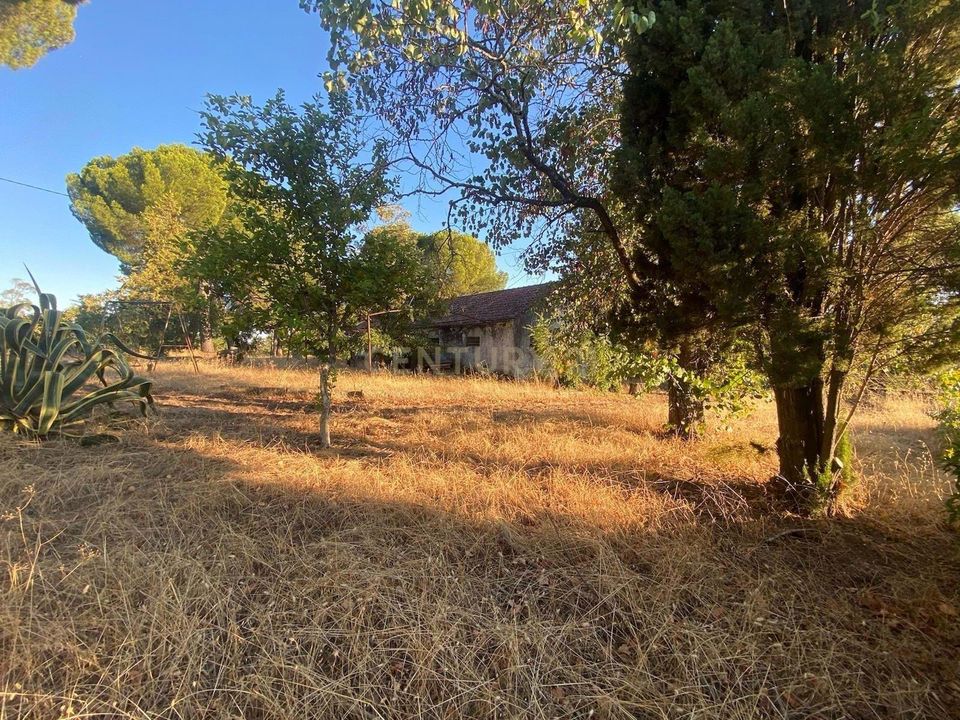 Farm hus i Escalos de Cima e Lousa, Castelo Branco - foto 3