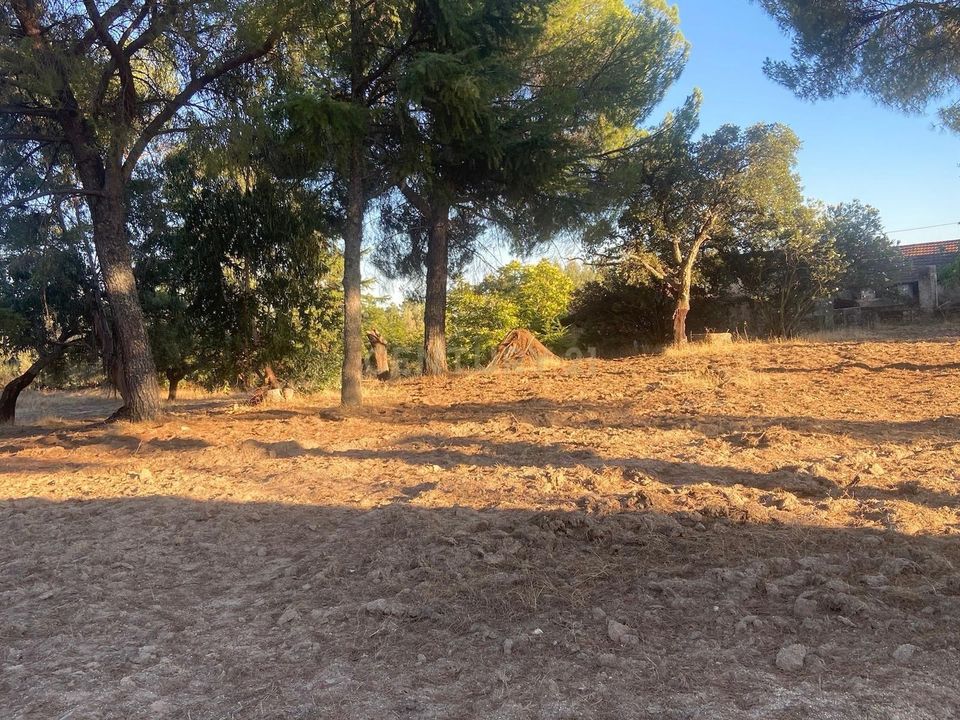 Farm hus i Escalos de Cima e Lousa, Castelo Branco - foto 4