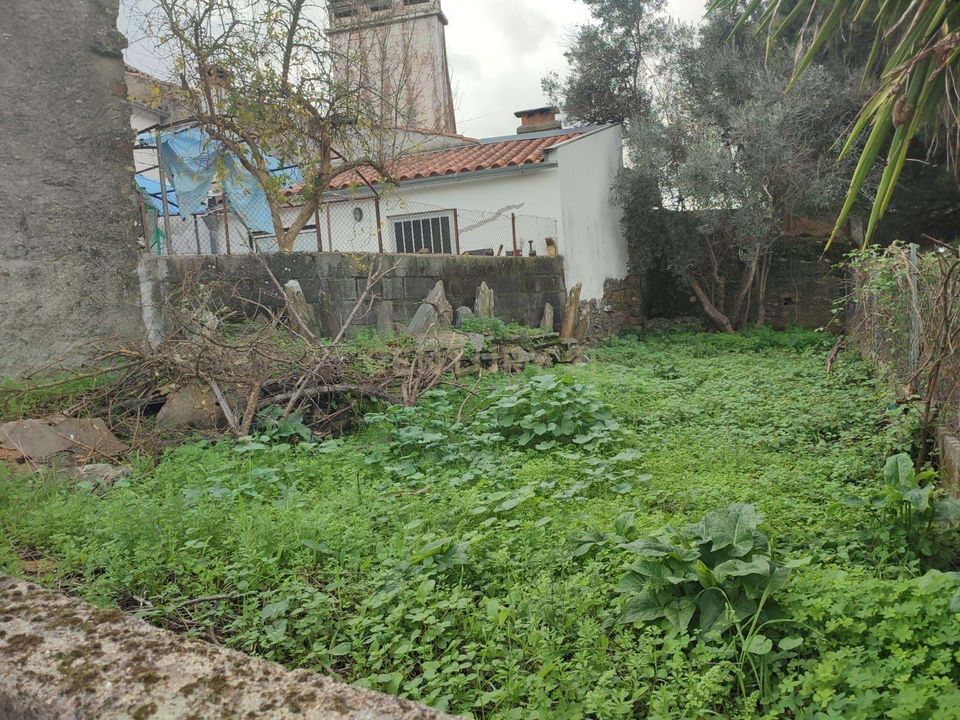 Villa a Vila Velha de Rodao, Castelo Branco - foto 4