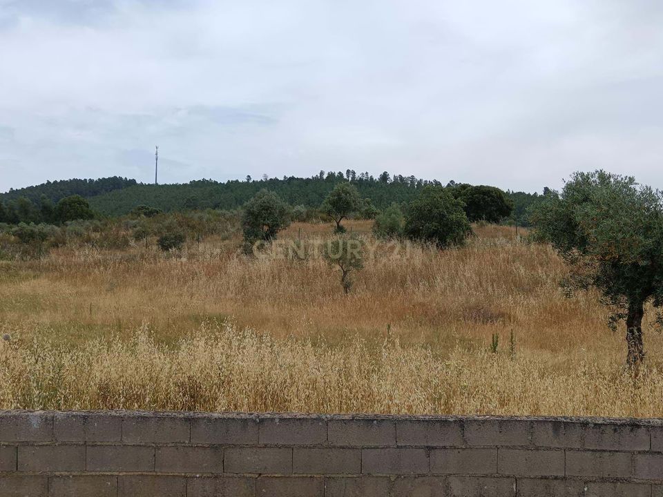 Helårsgrund i Castelo Branco, Castelo Branco - foto 1