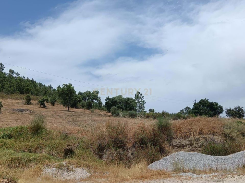 Helårsgrund i Castelo Branco, Castelo Branco - foto 1