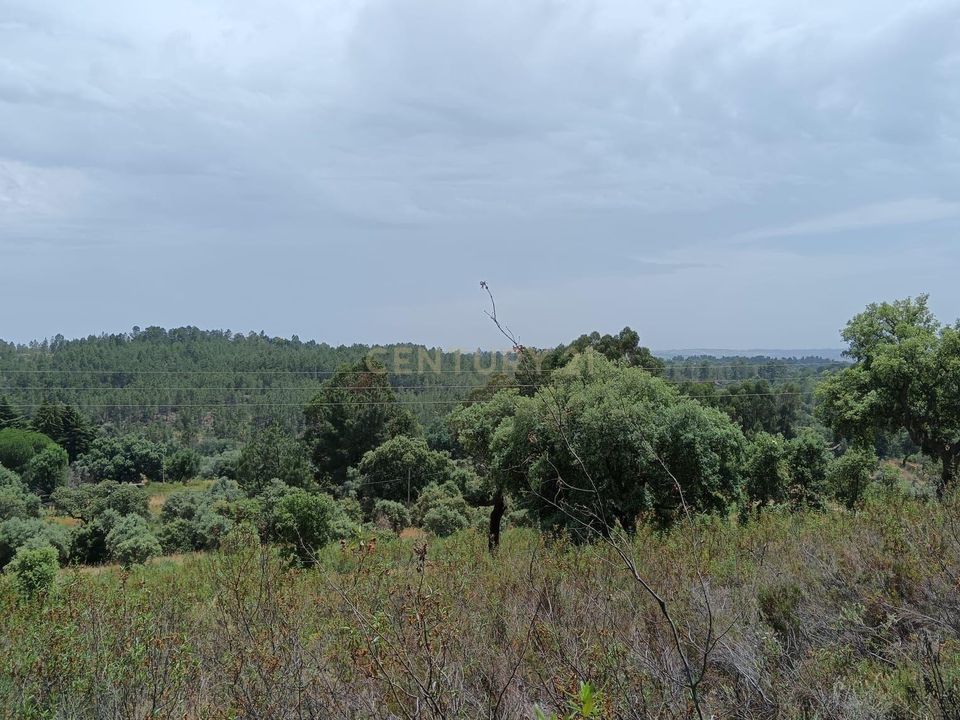 Helårsgrund i Castelo Branco, Castelo Branco - foto 4