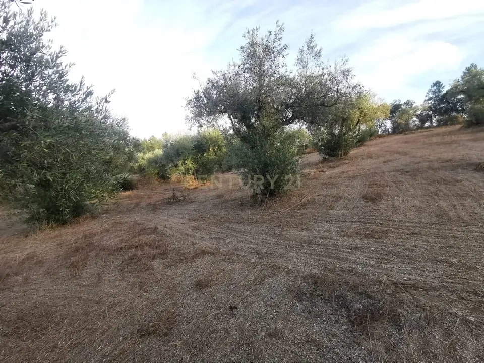Helårsgrund i Castelo Branco, Castelo Branco - foto 4