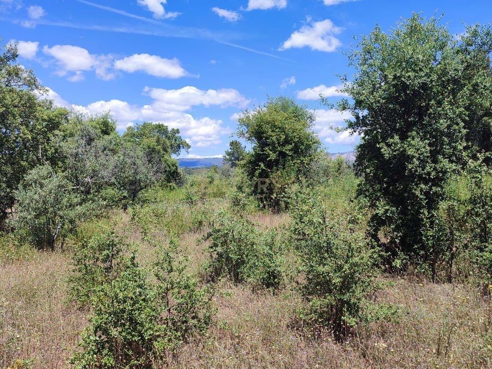 Terreno en Ninho do Acor, Castelo Branco - foto 4