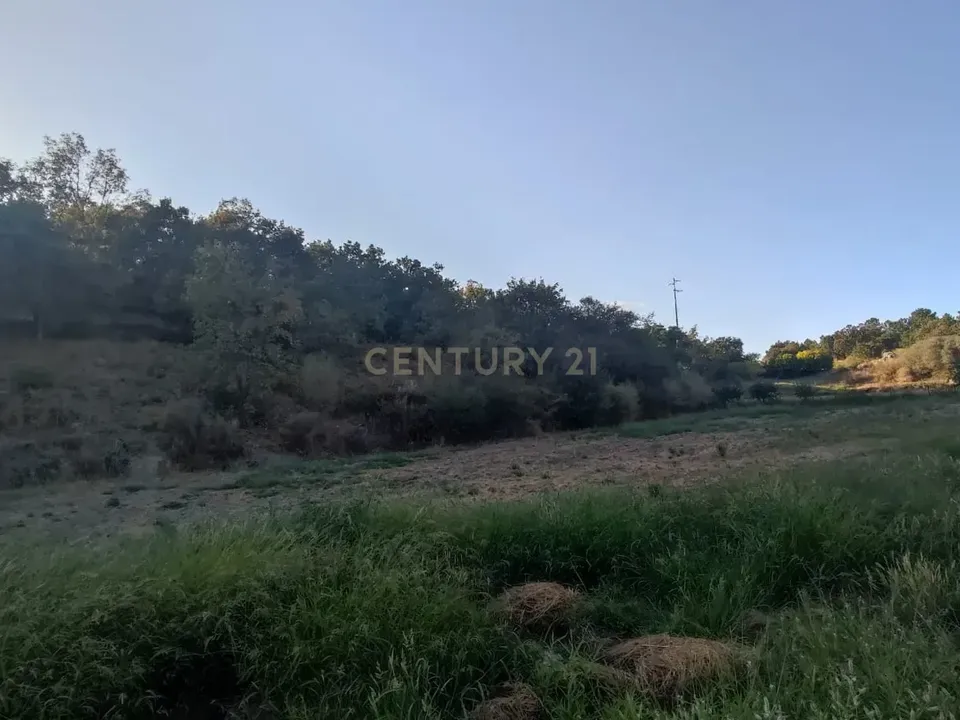 Tomt i Fundao, Castelo Branco - bilde 1