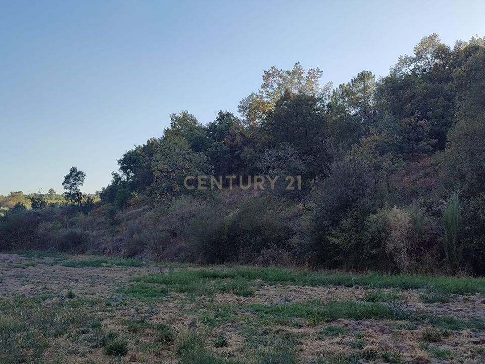 Tomt i Fundao, Castelo Branco - bilde 2