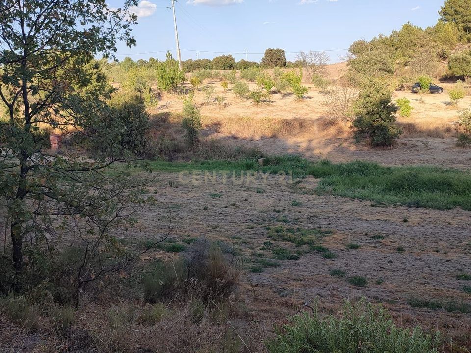Tomt i Fundao, Castelo Branco - bilde 3