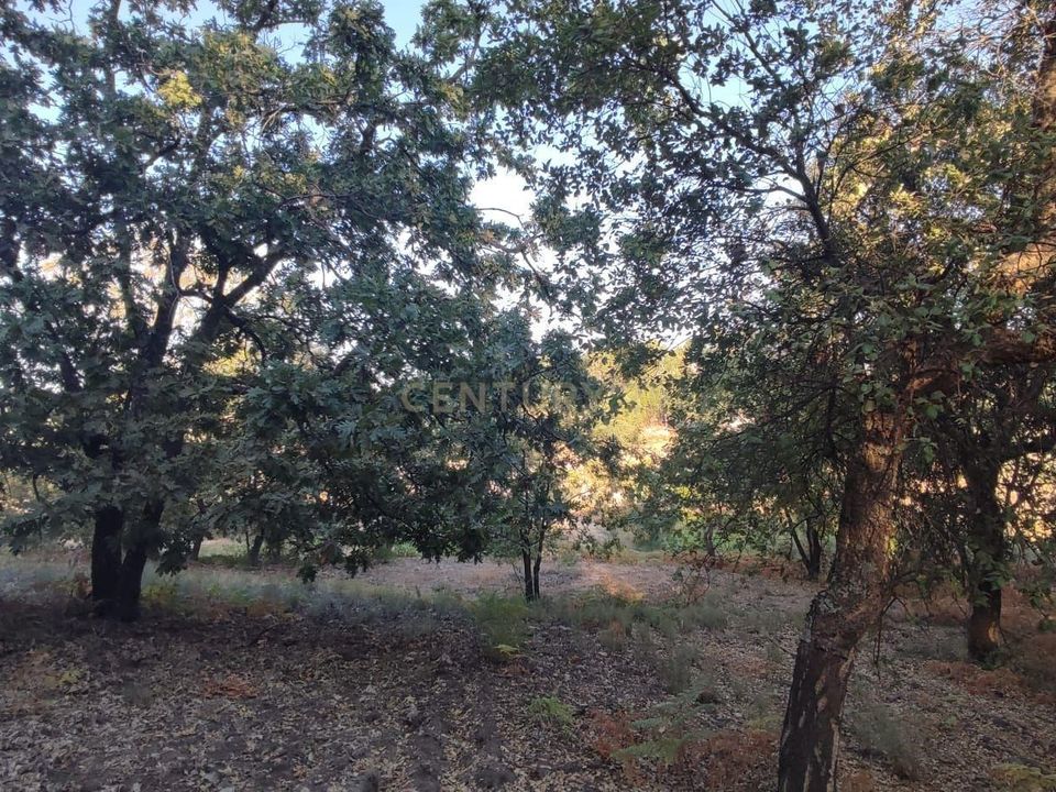 Tomt i Fundao, Castelo Branco - bilde 5