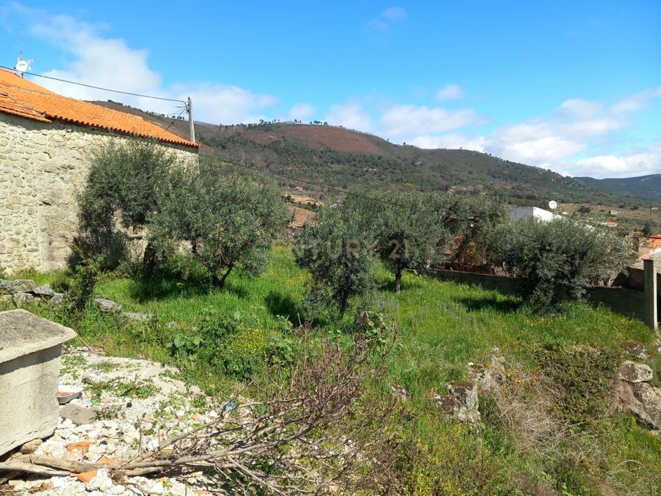 Helårsgrund i Fundao, Castelo Branco - foto 2