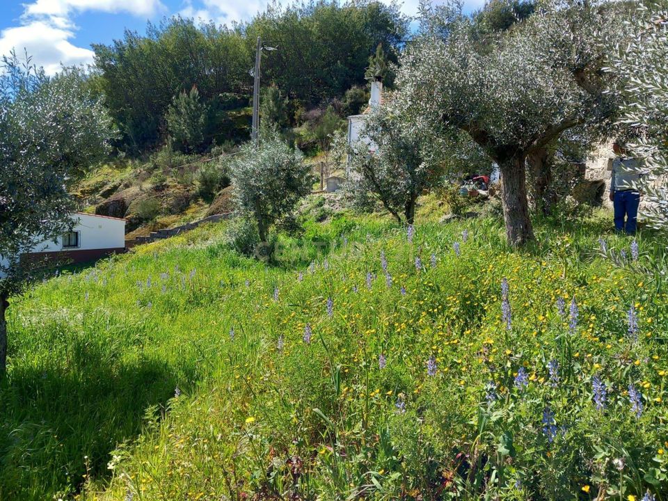 Helårsgrund i Fundao, Castelo Branco - foto 3