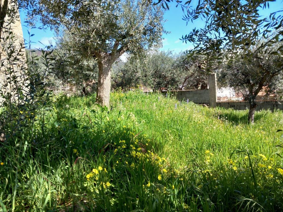 Helårsgrund i Fundao, Castelo Branco - foto 4