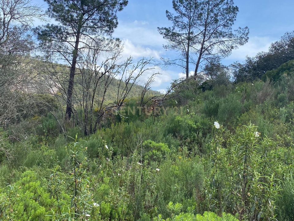Helårsgrund i Nisa, Portalegre - foto 3