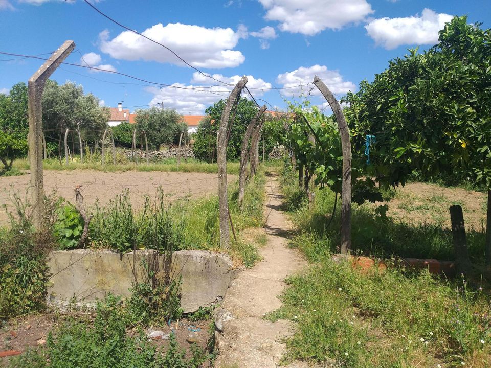 Helårsgrund i Zebreira e Segura, Castelo Branco - foto 2
