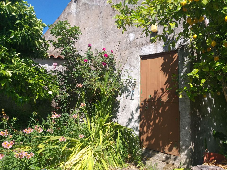 Helårsgrund i Zebreira e Segura, Castelo Branco - foto 5