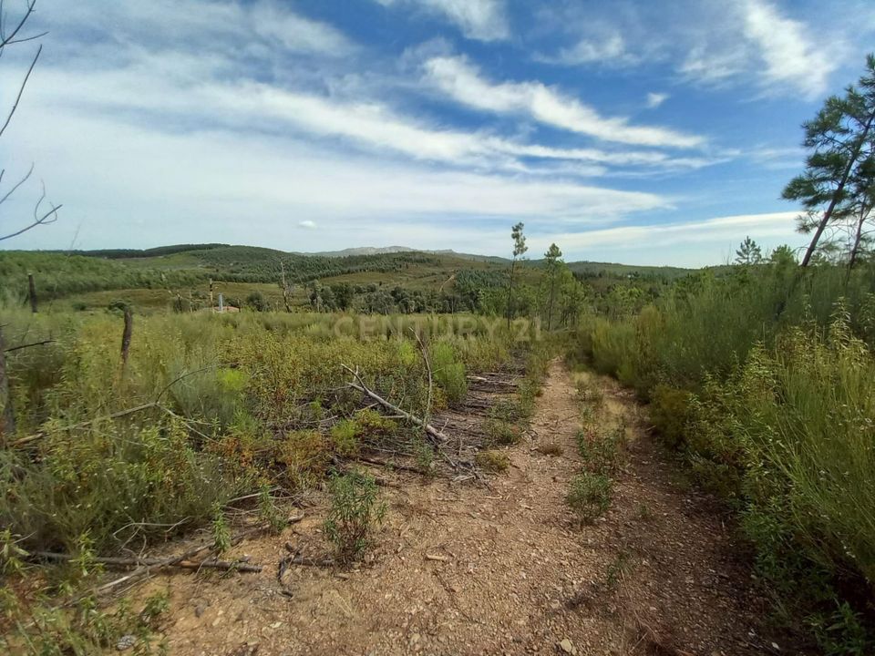 Terra a Ninho do Acor, Castelo Branco - foto 1