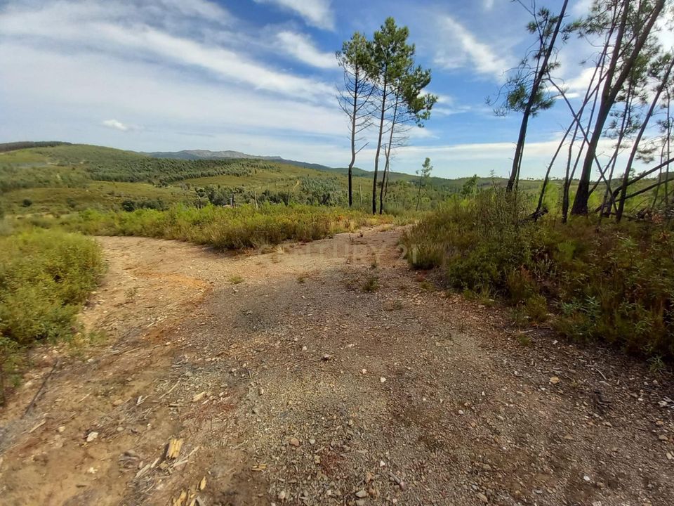 Terra a Ninho do Acor, Castelo Branco - foto 4