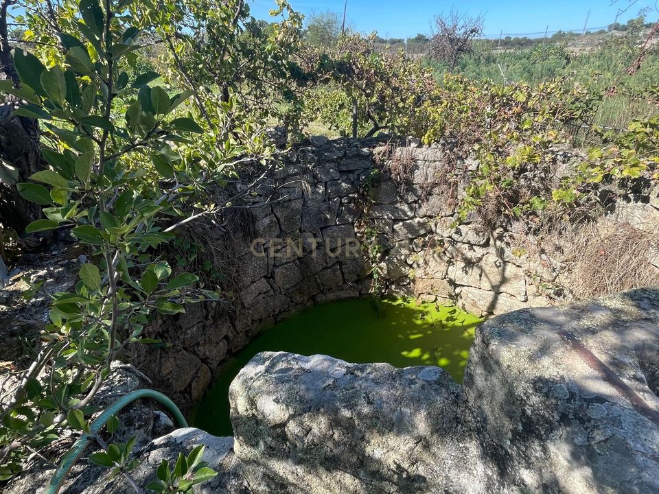 Helårsgrund i Escalos de Cima e Lousa, Castelo Branco - foto 1