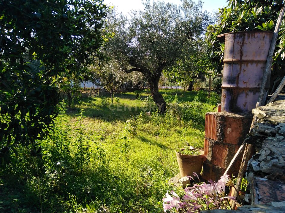 Helårsgrund i Vila Velha de Rodao, Castelo Branco - foto 4