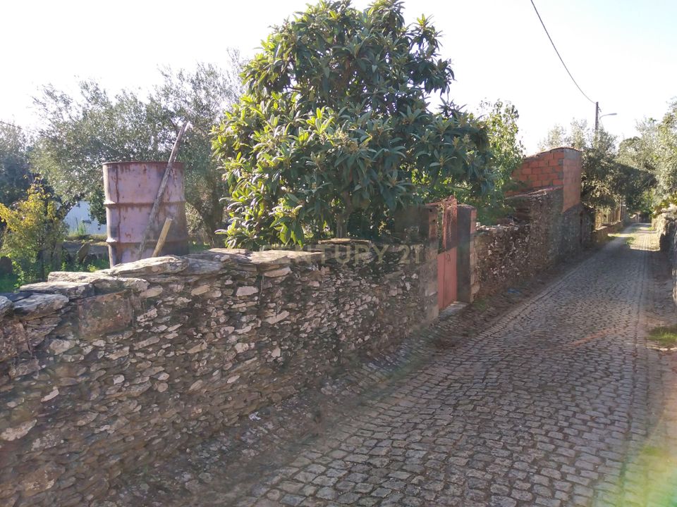 Helårsgrund i Vila Velha de Rodao, Castelo Branco - foto 5