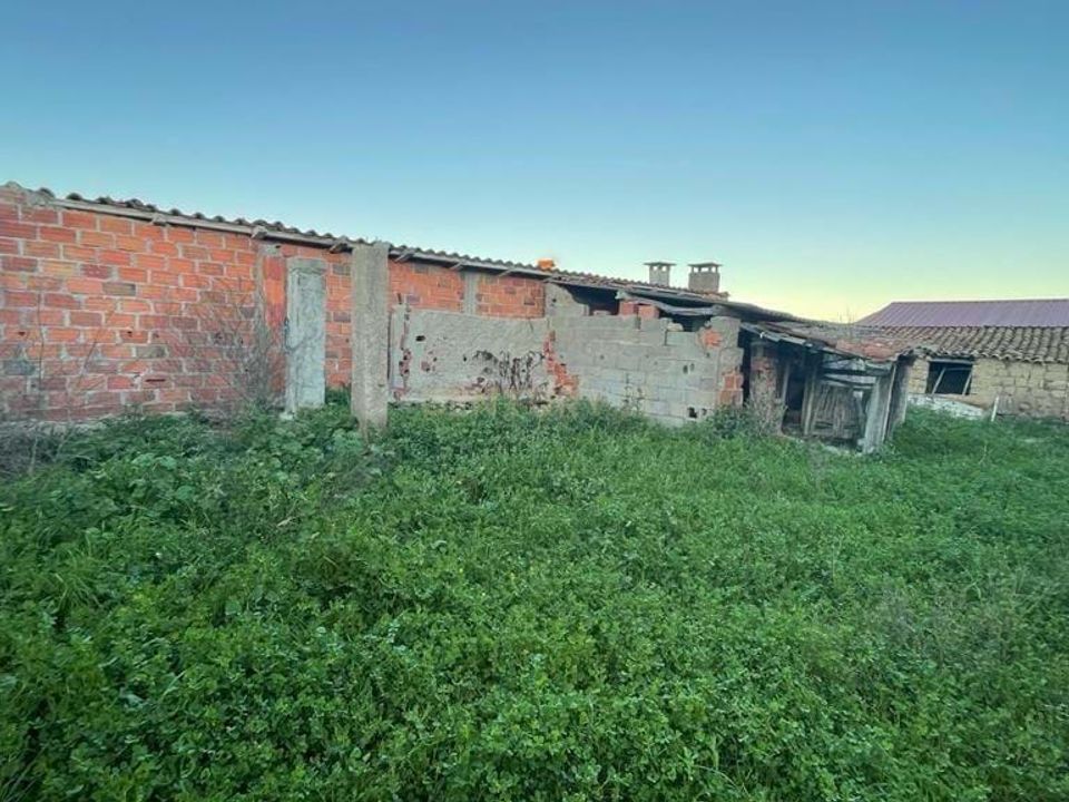 Helårsgrund i Idanha-a-Nova, Castelo Branco - foto 2